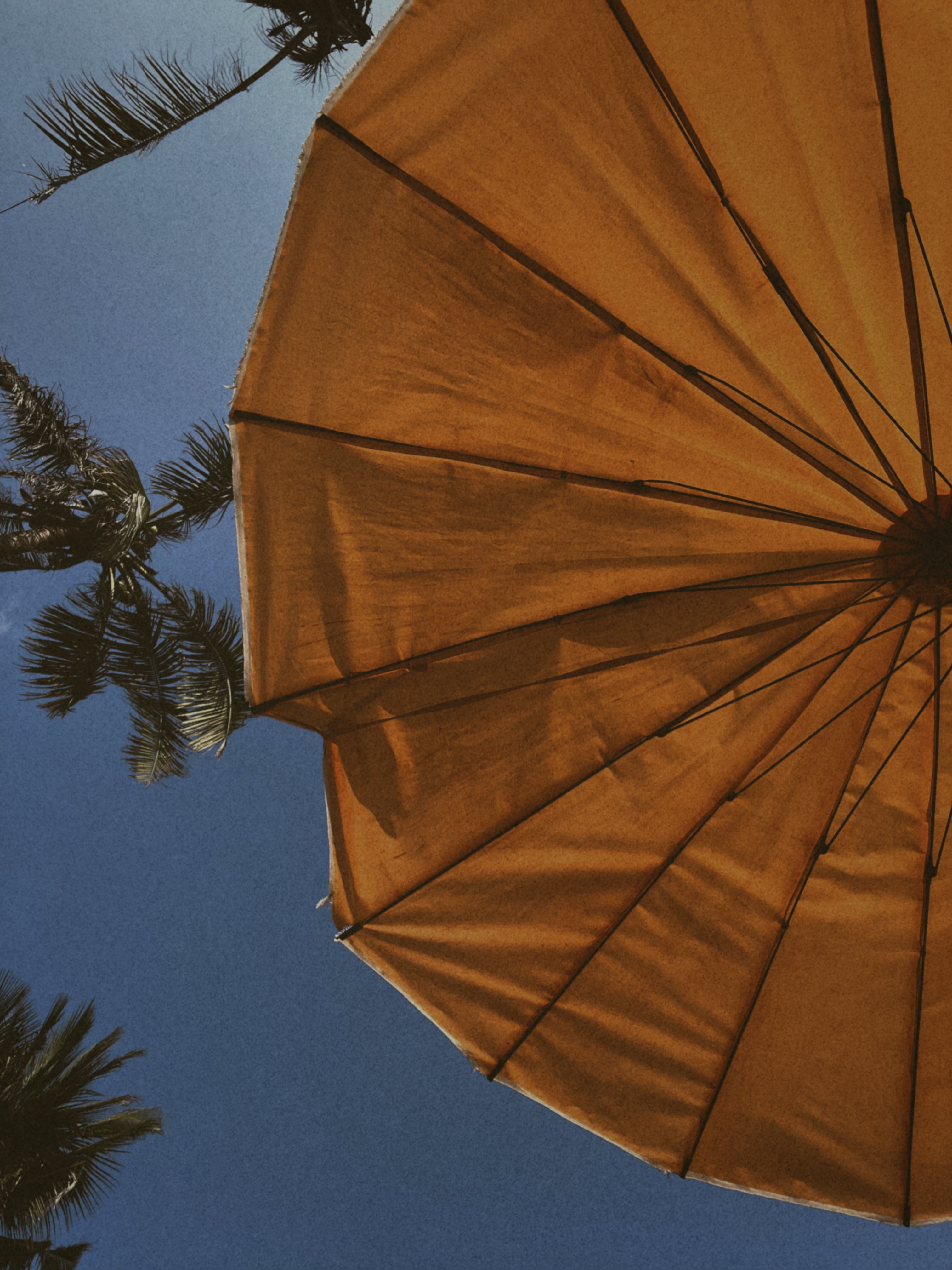 Our Top 5 Fake Tans to Keep Your Summer Glow Game Strong.